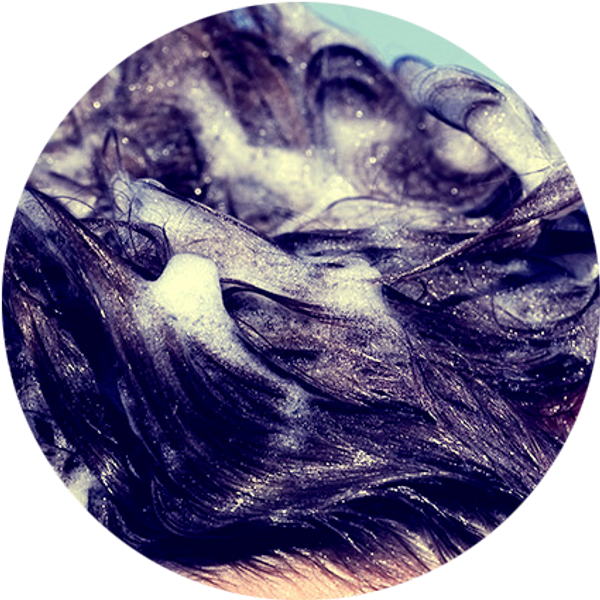 Shampoing et soins végétaux